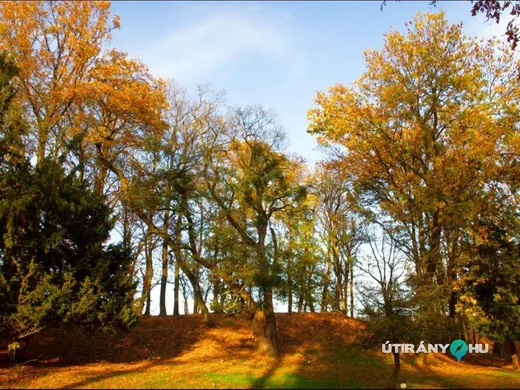 'Alsóperei arborétum' cikk borítóképe