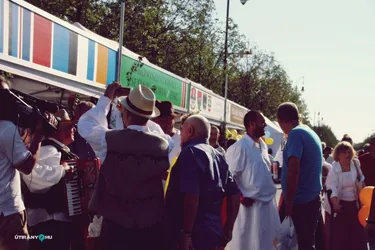 Nemzeti Vágta, szurkoljunk együtt a Bakonynak!