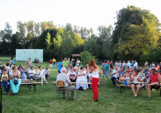 'Bakonybéli Nyármarasztaló' cikk borítóképe