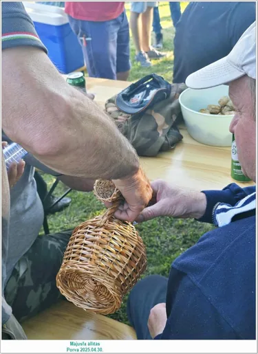 Májusfa állítás