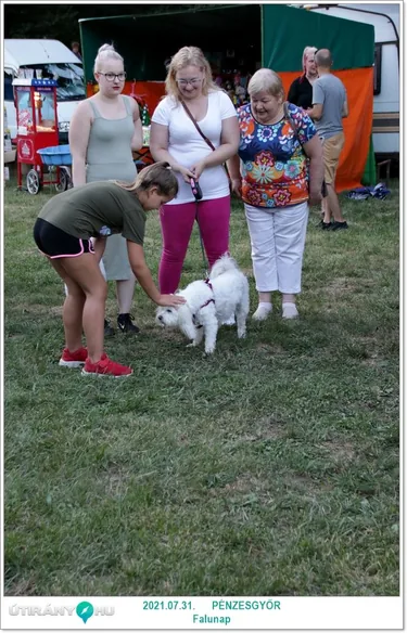 Pénzesgyőri Falunap