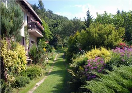 Adrienn Örökzöld Vendégháza borítóképe