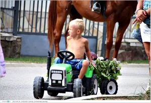 Fotók, Útirány.hu