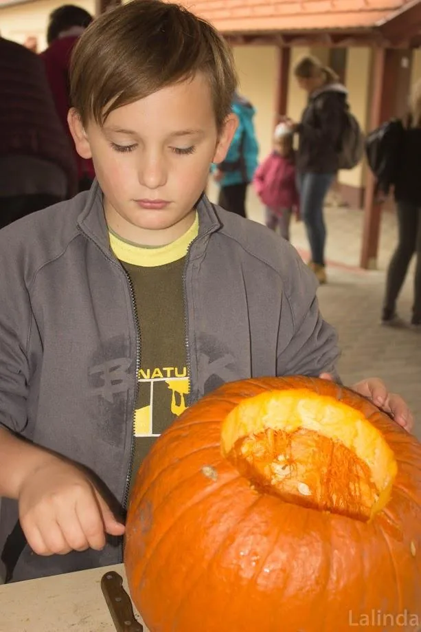 Fotók 1 album: Babai Lalinda