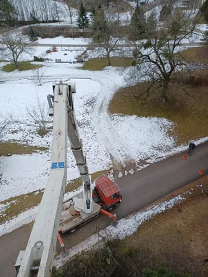 Beteg hárs és szilfát vágtunk 30 m-es kosarasból.