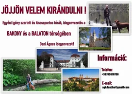 Idegenvezetés borítóképe