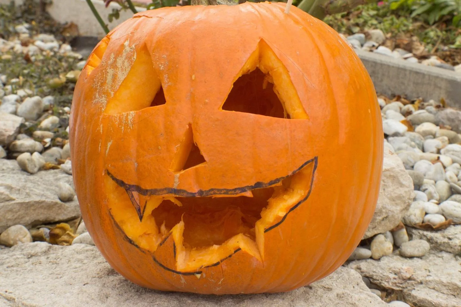 Tökfesztivál 2018. Képek: Babai Lalinda