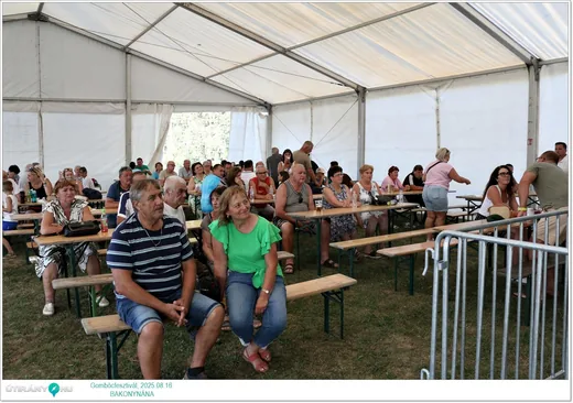 'Bakonynánai Gombócfesztivál 2025' cikk borítóképe
