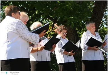VIII. Sólyi Falunap