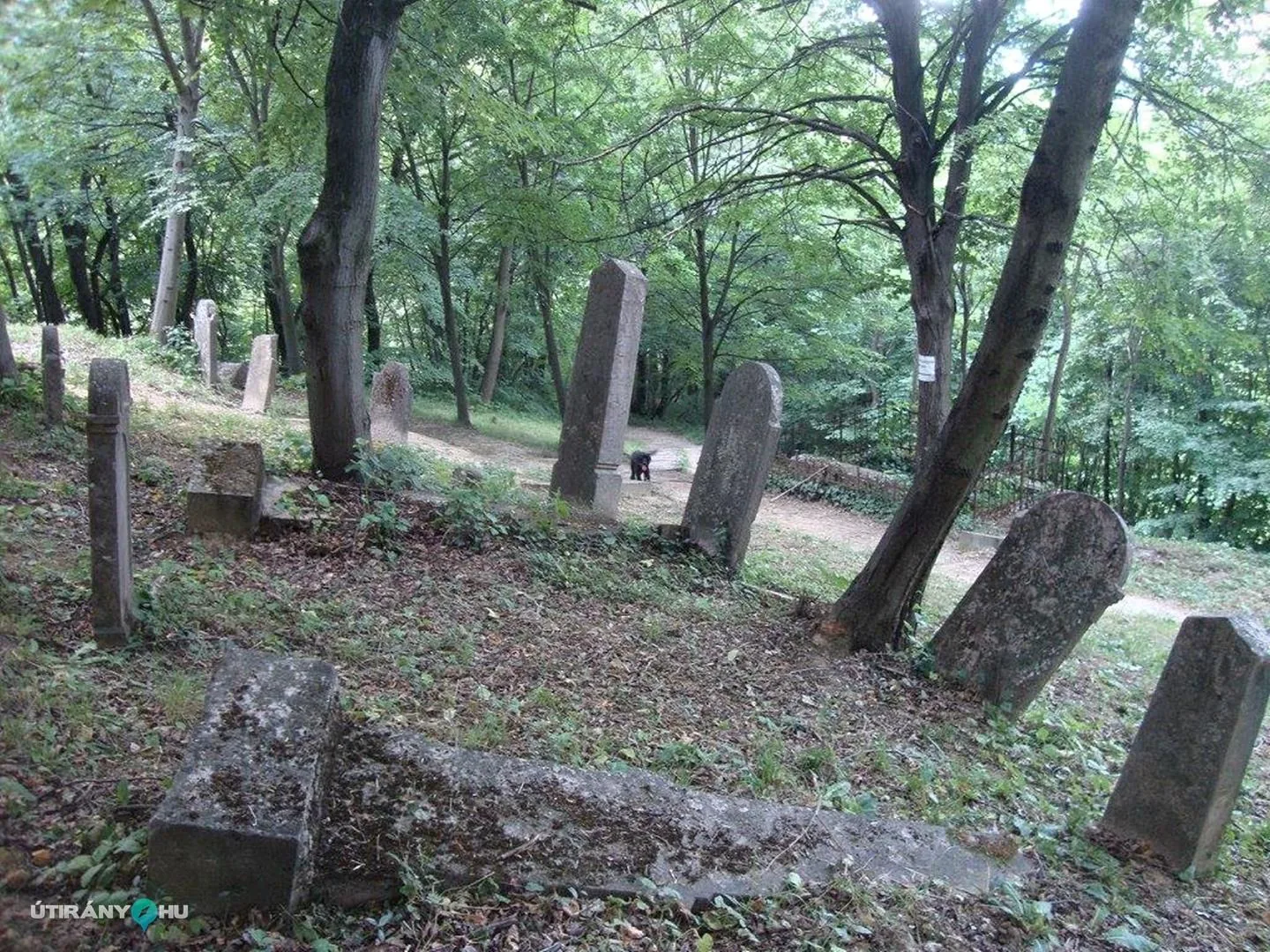 Fotók: 2015 Hegedűs László