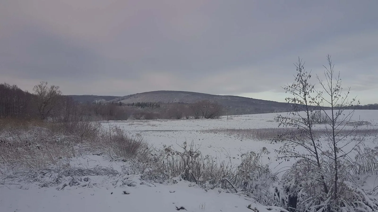 Fotó: Veinperlné Kovács Andrea