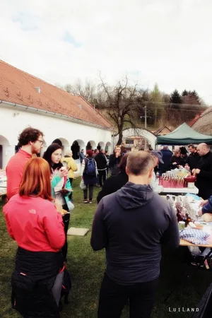 12. Medvehagymás napok. Fotók: Sárfi Lajos