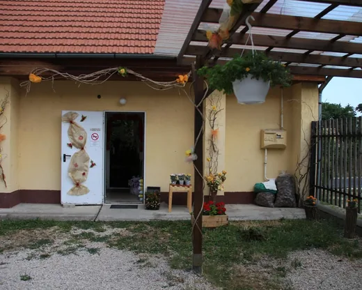 'Kék Ibolya Virágbolt' cikk borítóképe