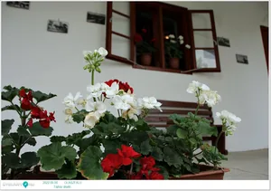 Képek az átadóról 2022