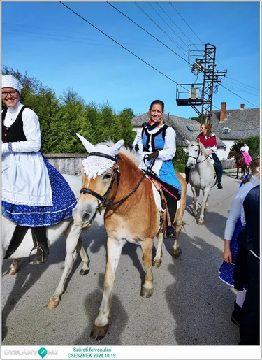 Szüreti felvonulás és Bál
