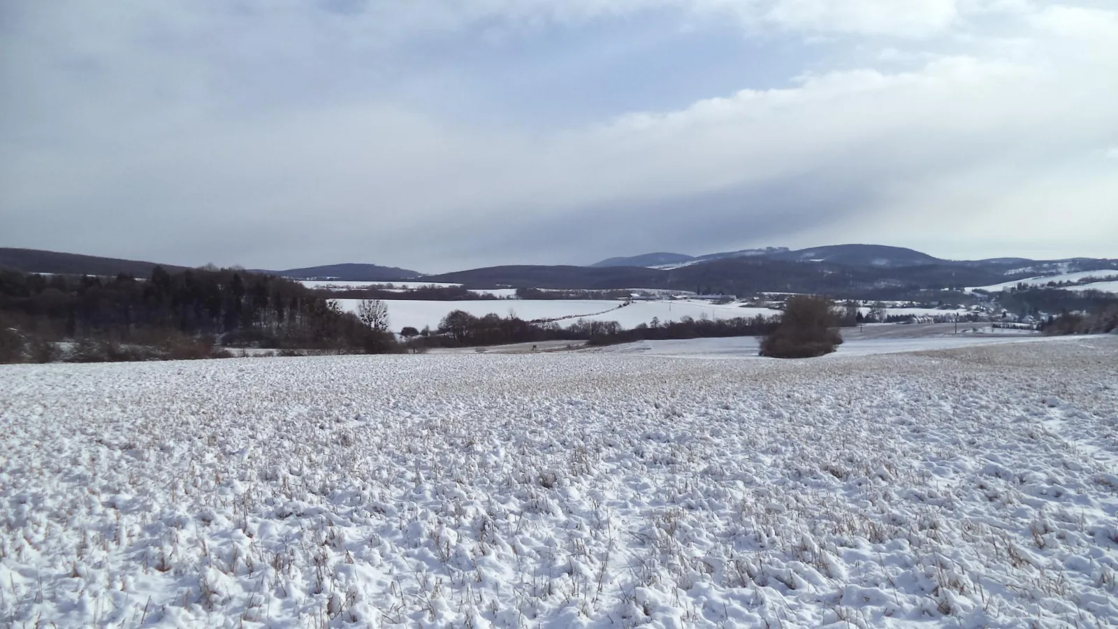 Téli Bakony, Fotók: Vilmos Weiszgerber 