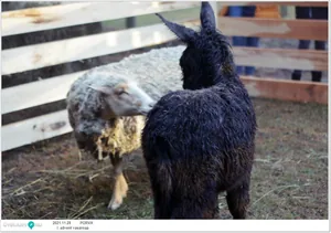 Képek a rendezvényről