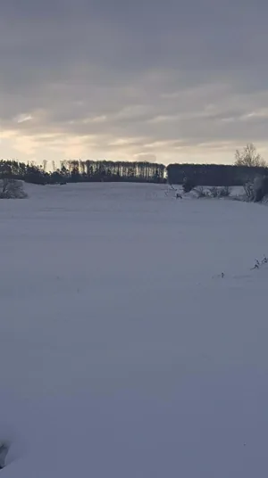 Fotó: Veinperlné Kovács Andrea