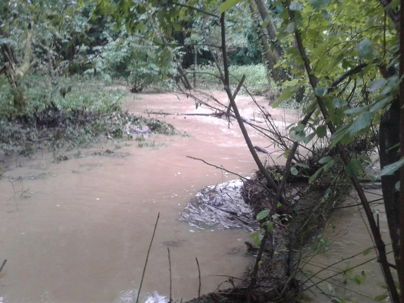 Gerence Pénzesgyőr 2018.09.04.