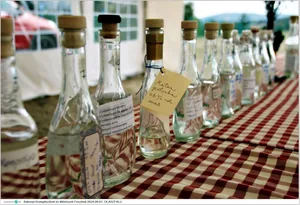 Fotók, Útirány.hu