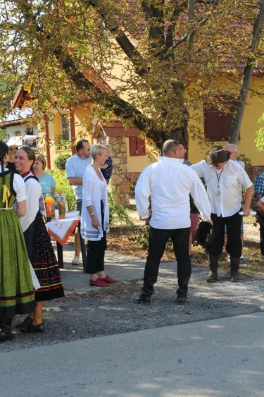 Szüreti felvonulás és utcabál