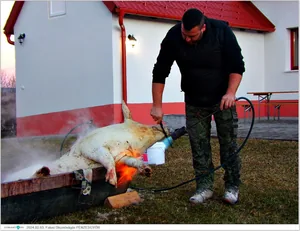 Fotók, Útirány.hu