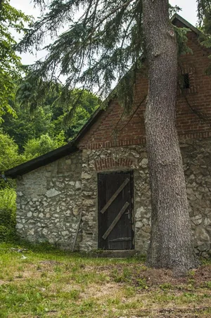 Fotó: Pesty Márton