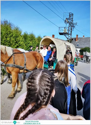 Szüreti felvonulás és Bál