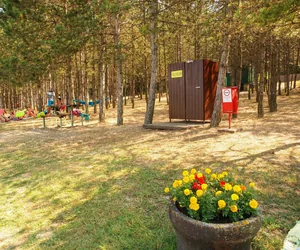 Fotók: Joó Annamária