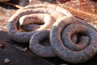 III. Falusi disznóvágás beszámoló fotókkal borítóképe