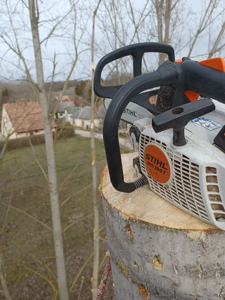 Nyárfák kivágása!A csörlő ma is nagy segítség volt!