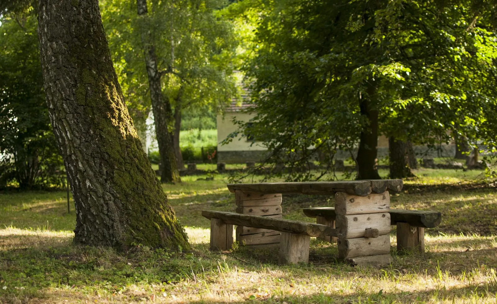 Fotó: Pesty Márton