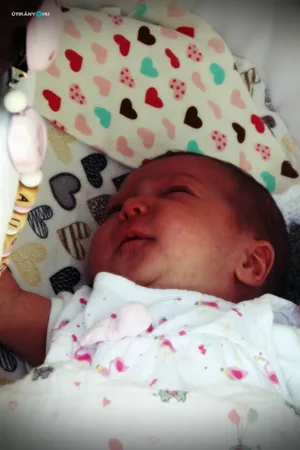 Falunap 2019 / Fotók: Útirány.hu