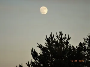 Kedvcsináló képek tavalyról! Fotók: Horváth Attila