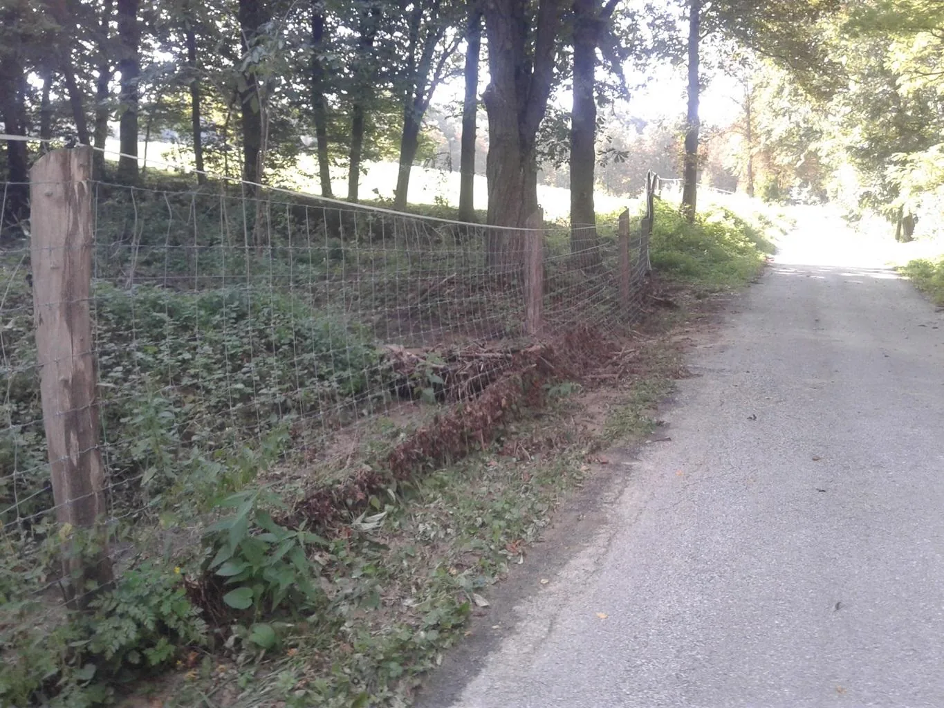 Gerence Pénzesgyőr 2018.09.04.