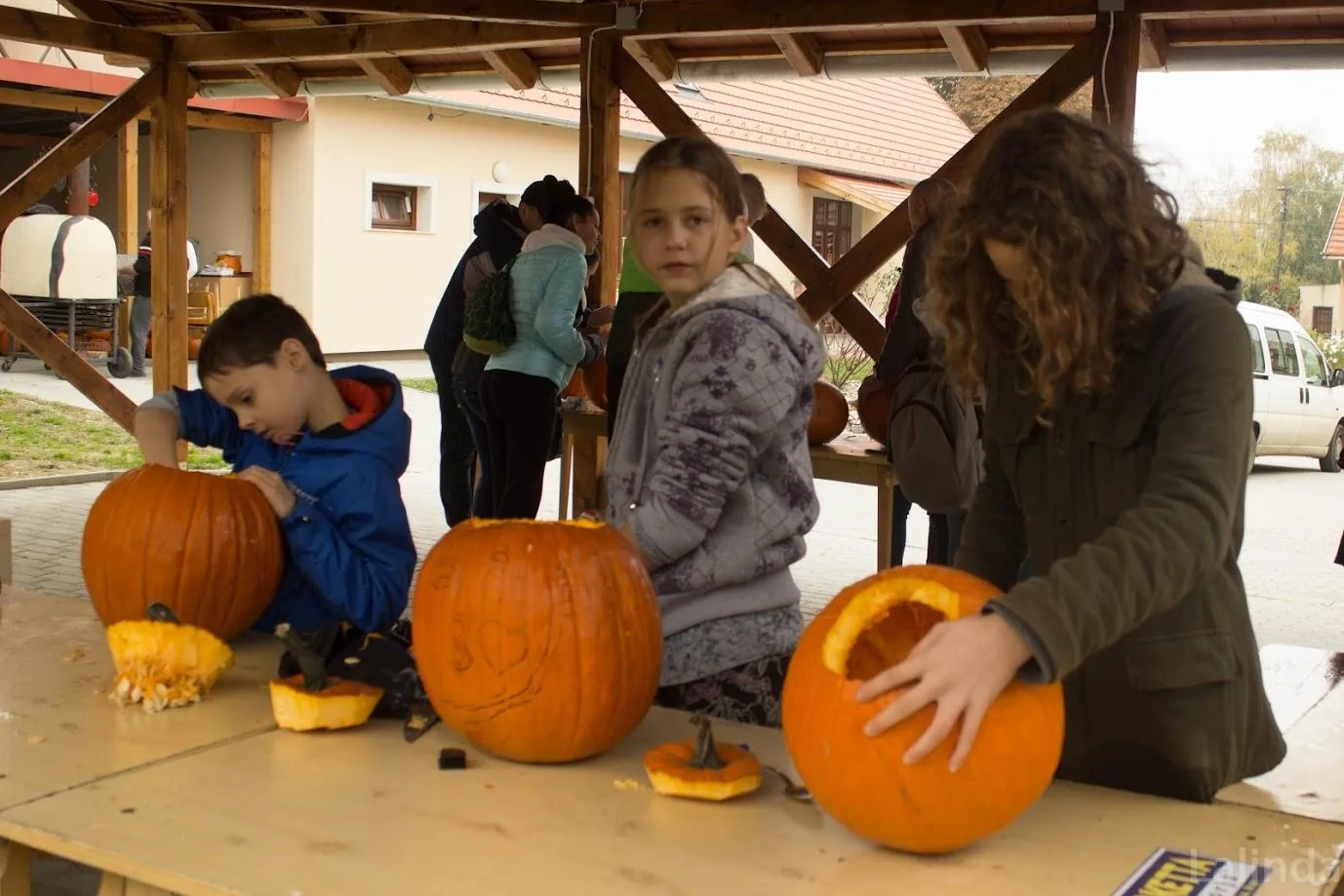 Fotók 1 album: Babai Lalinda