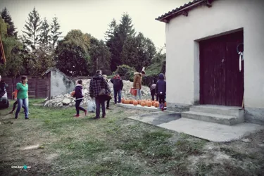 IX. Tökfesztivál