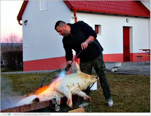 Fotók, Útirány.hu