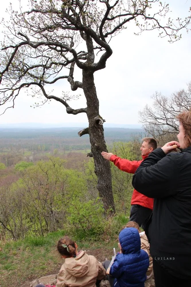 Fotók és kisfilm: Útirány.hu