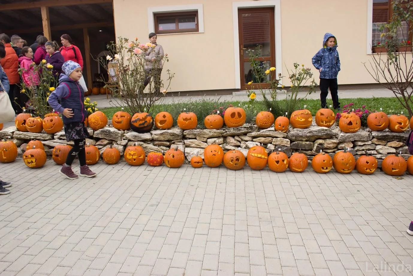 Fotók 2 album: Babai Lalinda