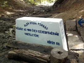 Alba Regia-forrás borítóképe