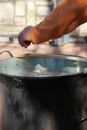 Fotók: Útirány.hu