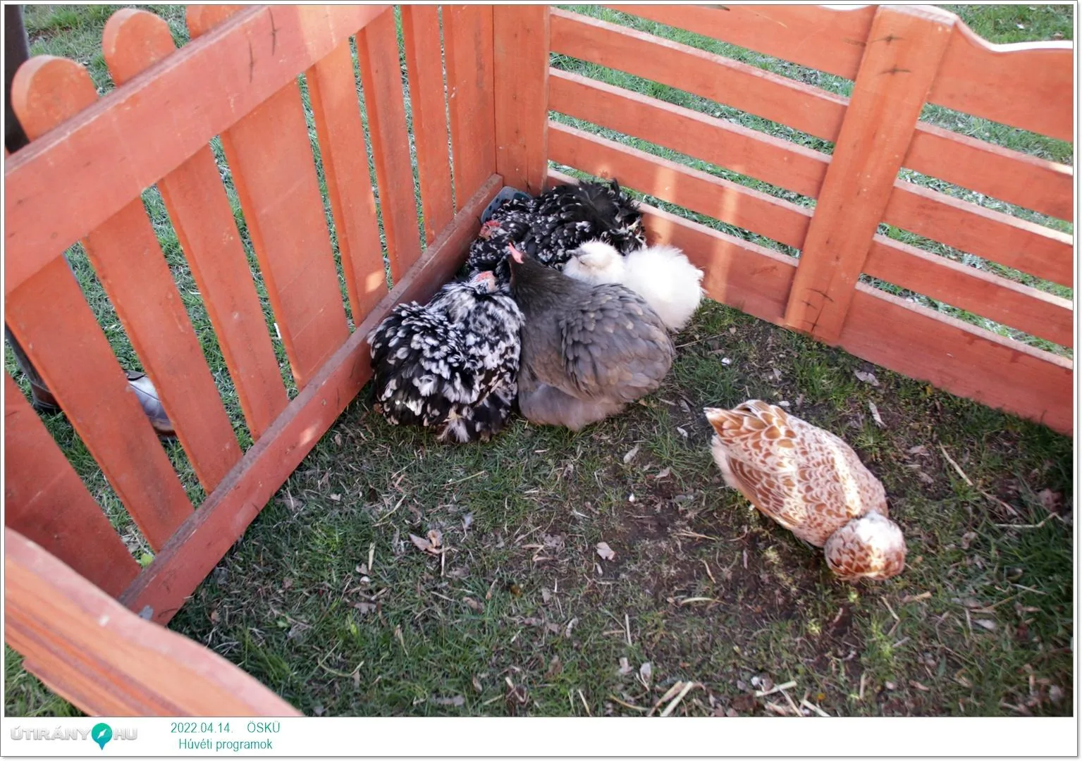 2022.04.14. csütörtöki nap Fotók: Útirány.hu