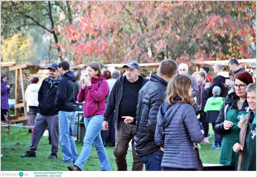'Gerence-parti Pityóka Party' cikk borítóképe