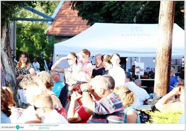 Sólyi Falunap és fakanál forgató