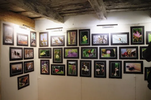 'Fotókiállítás, "Ahogy én látom"' cikk borítóképe