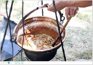 Parasztolimpia és főzés