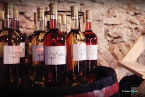 Pincefesztivál 2019 / Fotók: Útirány.hu