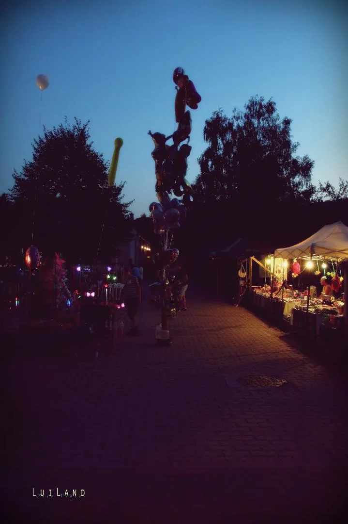 Millenniumi Falunap 2018, Képek: LuiLand