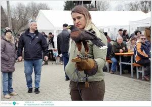 Fotók: Útirány.hu